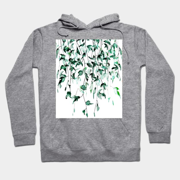 green ivy on the wall Hoodie by colorandcolor